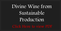 Divine Wine for Substainable Production